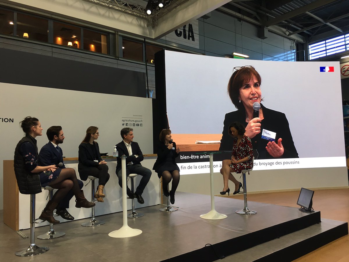 olivimre's tweet photo. Fin du broyage des poussins et de la castration à vif des porcs : « l’Etat a tenu ses engagements » souligne Emmanuelle Soubeyran, DGAL adjointe @Agri_Gouv #SIA2022 #protection animale https://t.co/II76bSD9EZ
