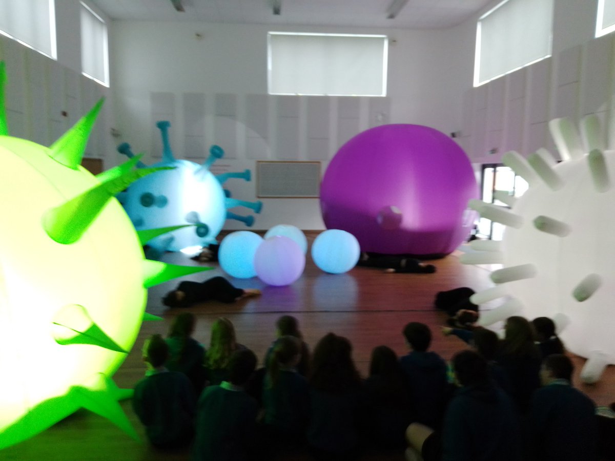 YsgolY's tweet photo. Today we are all enjoying a CELL Science Dance Show and Workshop. https://t.co/ih7yIKTo85