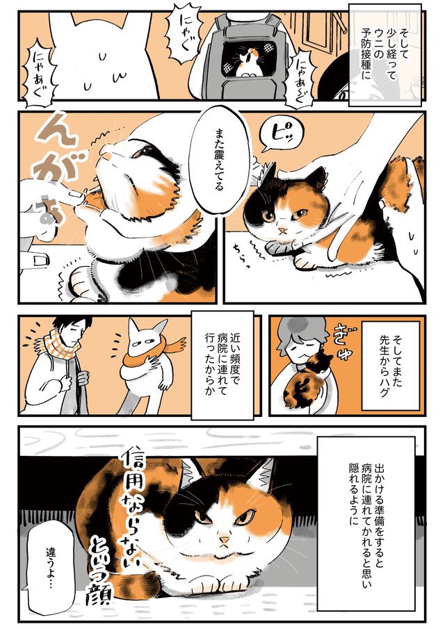 『猫と健康』

(1/2) 