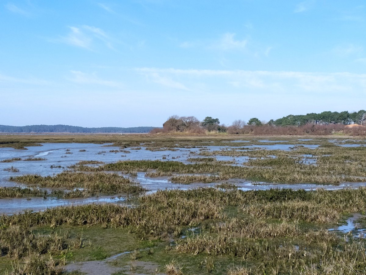 BK_abroad's tweet photo. Bonjour bassin ! #MareeBasse #Ares https://t.co/zpXIudO147