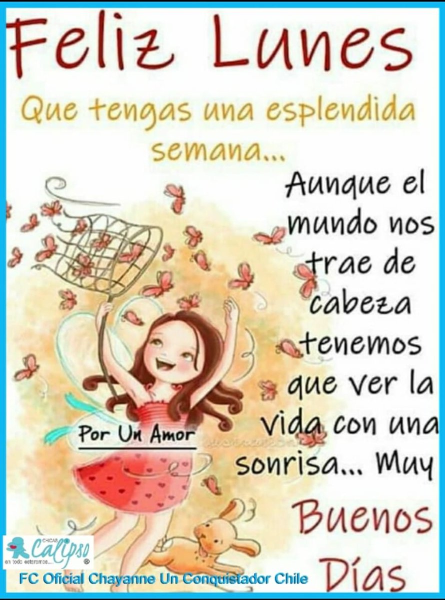 sandra lorena tweet media