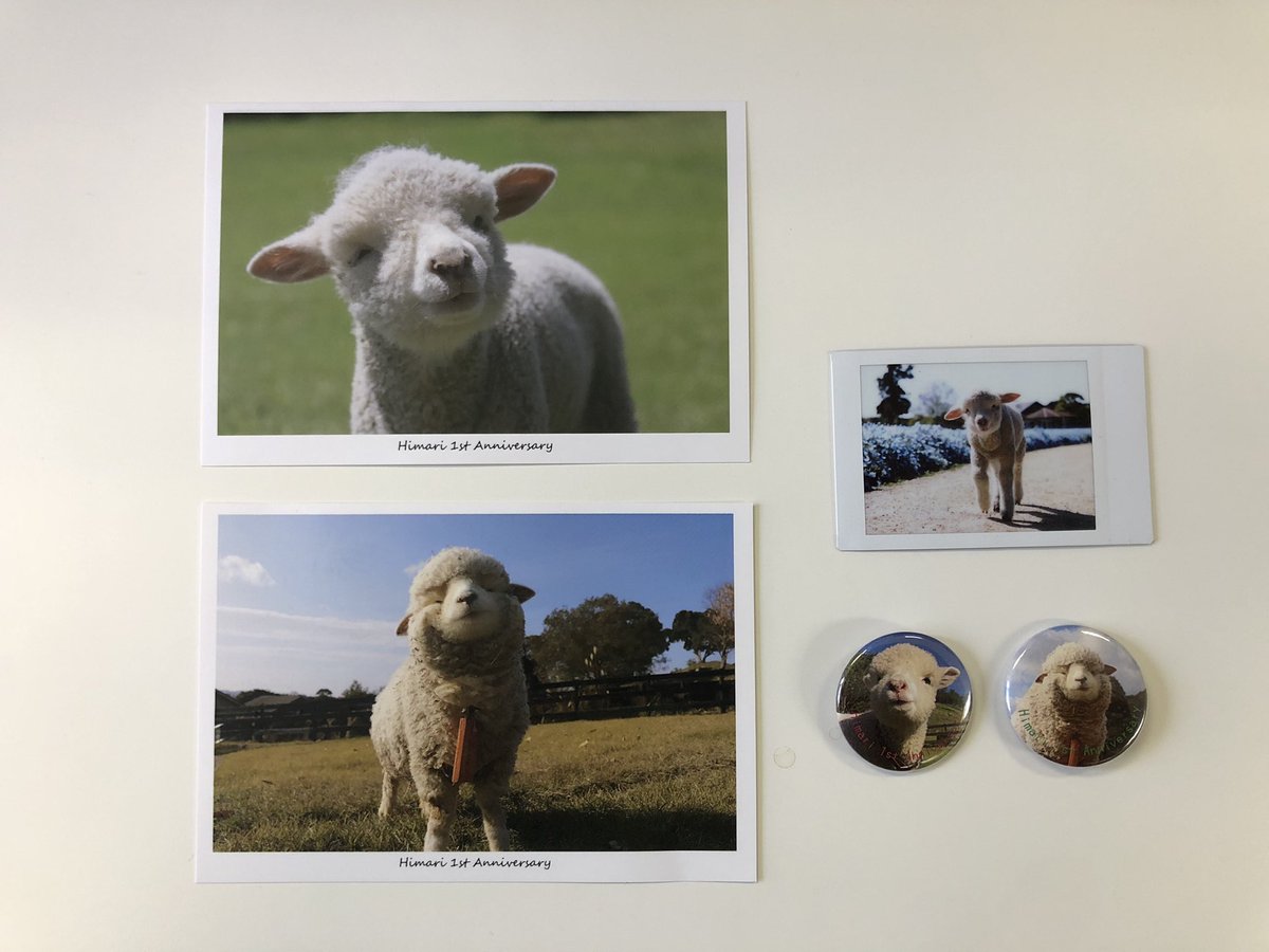 めいこ Narume I Twitter めいこ Narume I Twitter