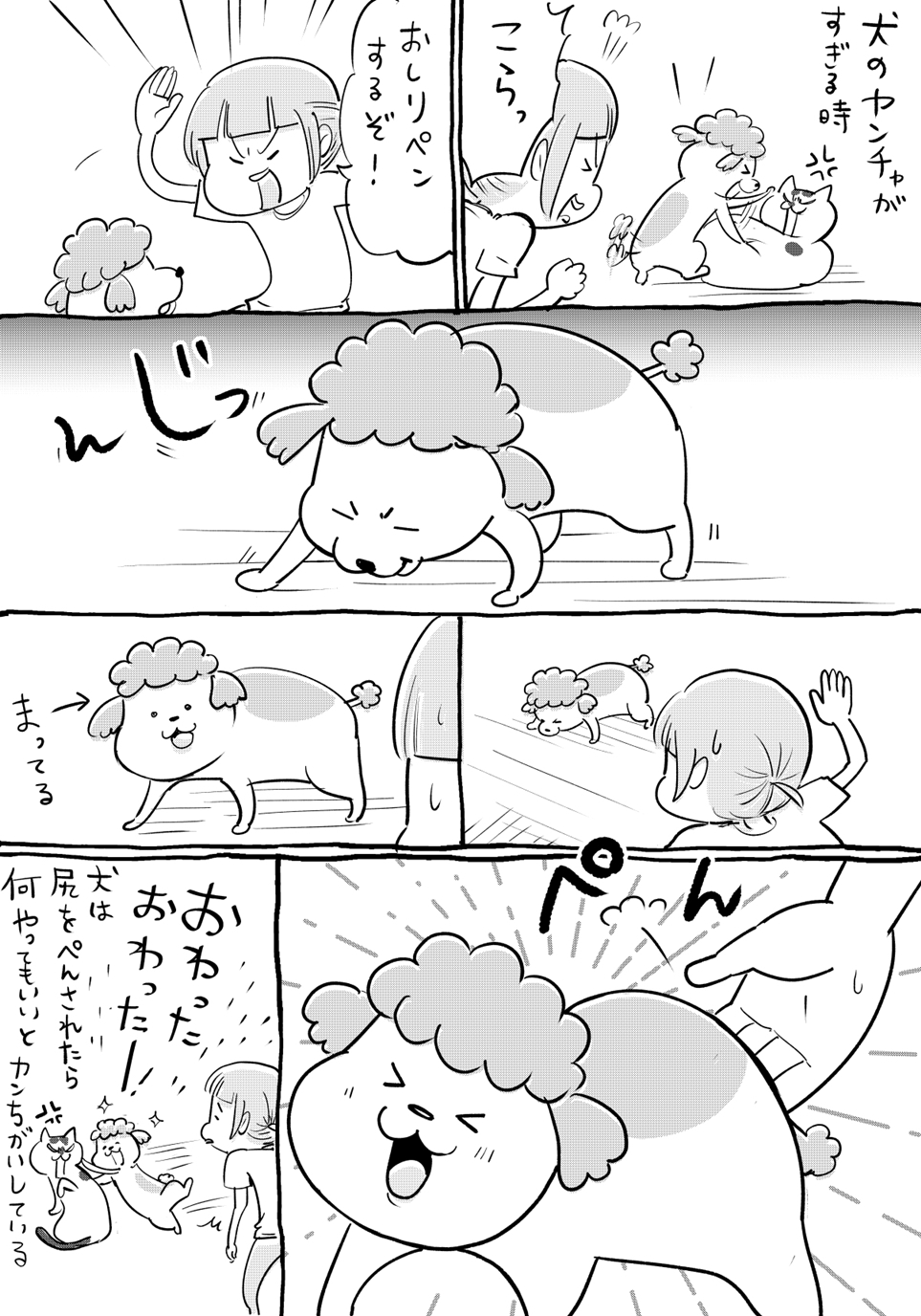 Tvアニメ 犬と猫どっちも飼ってると毎日たのしい 公式 Tva Dog And Cat Twitter