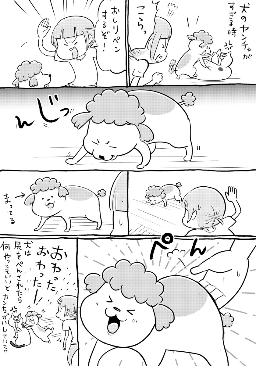 犬と猫によって？お尻ペンされた時の反応が期待と違うwww