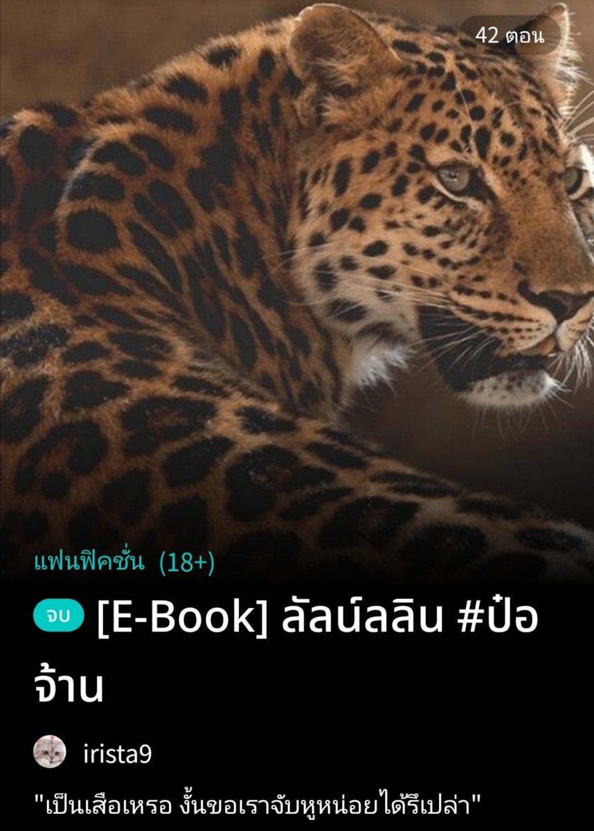 ⚝ เฟิ่งเฟิ่งปิ้วปิ้ว 🦋🐯 tweet media