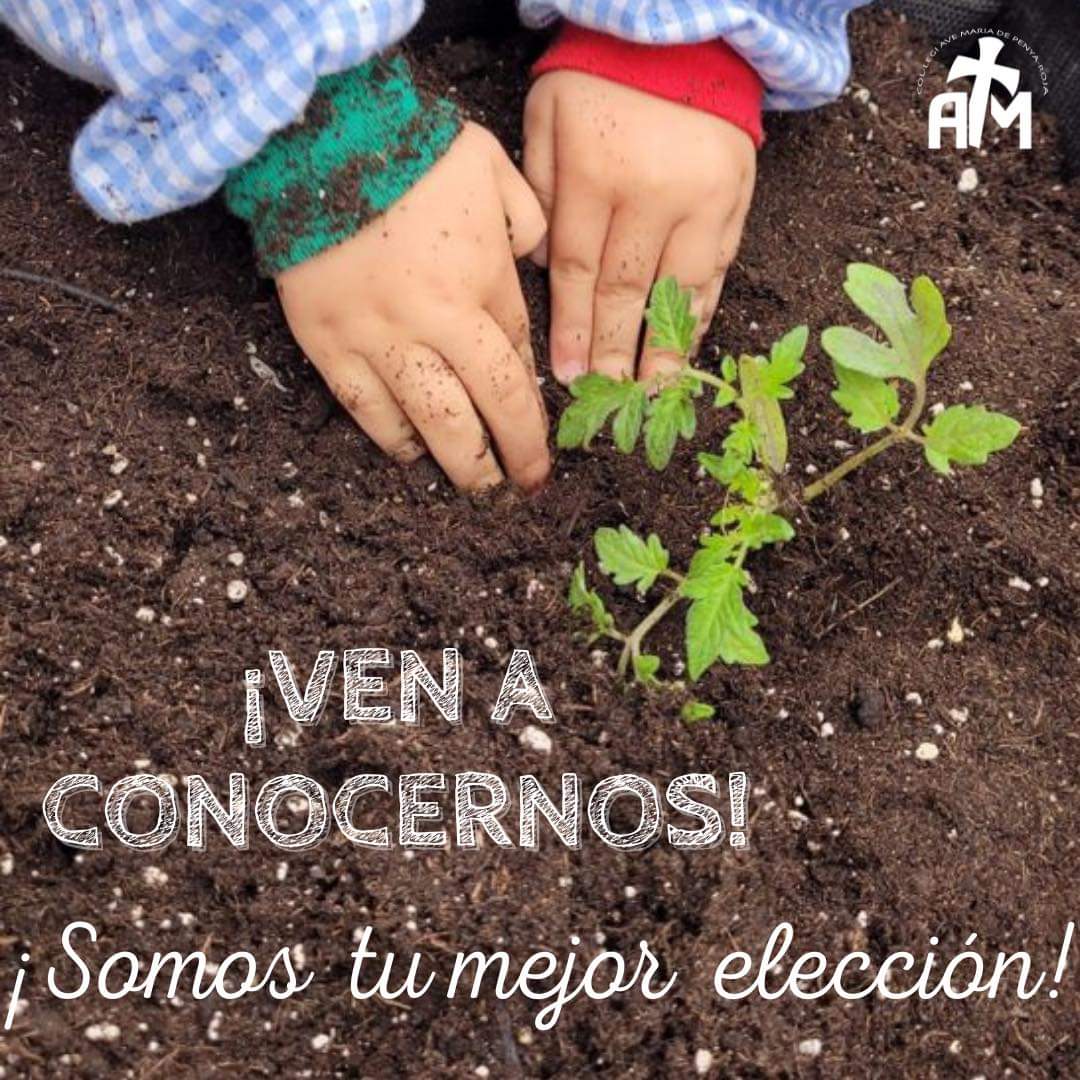 penyaroja_vlc's tweet photo. #1ercicloInfantil
#venaconocernos
#avemariadepenyaroja
#colegiosdiocesanos
#somosdiocesanos
#amaoscomoyoosheamado https://t.co/eSeXv0lRzR
