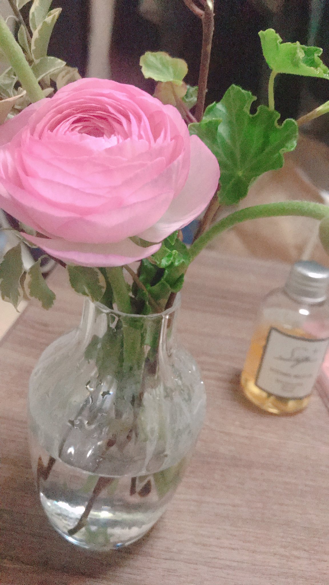 Emi ラナンキュラス ピンクの花言葉は 飾らない美しさ だそうです 花言葉 フラワーアレンジメント お疲れ様でした T Co 5f811qlxxd Twitter