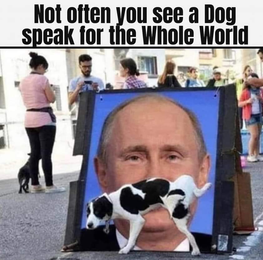 🐾🐾 🌻 Jenny 🌻 🌞🌱🏴󠁧󠁢󠁳󠁣󠁴󠁿🦄🇺🇦 tweet media