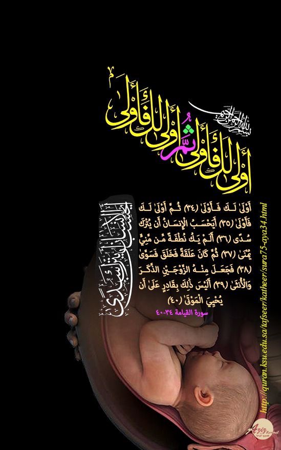 أَوۡلَىٰ لَكَ فَأَوۡلَىٰ ❁ثُمَّ أَوۡلَىٰ لَكَ فَأَوۡلَىٰٓ ❁أَيَحۡسَبُ ٱلۡإِنسَٰنُ أَن يُتۡرَكَ سُدًى ❁ أَلَمۡ يَكُ نُطۡفَةٗ مِّن مَّنِيّٖ يُمۡنَىٰ ❁ ثُمَّ كَانَ عَلَقَةٗ فَخَلَقَ فَسَوَّىٰ❁فَجَعَلَ مِنۡهُ ٱلزَّوۡجَيۡنِ ٱلذَّكَرَ وَٱلۡأُنثَىٰٓ ❁