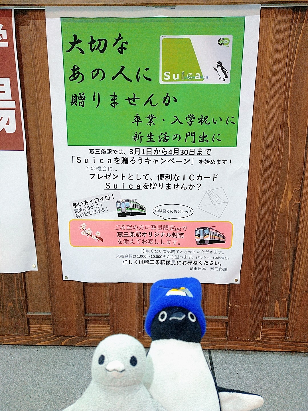 非売品 JR SKISKI 30周年限定デザインSuicaペンギンぬいぐるみ