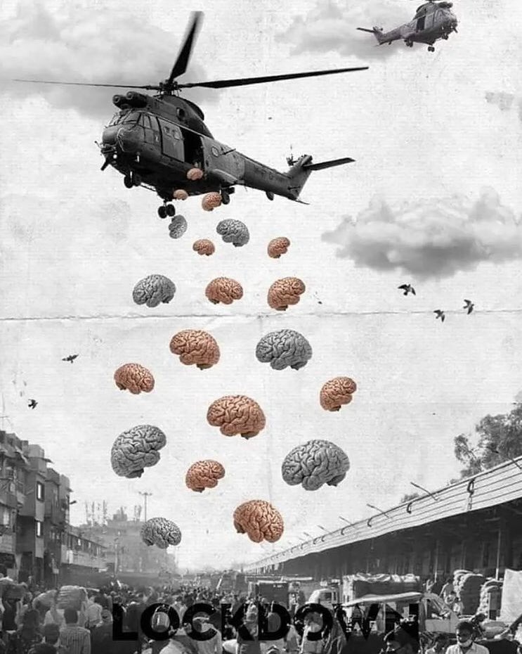 Pol Niuman tweet media