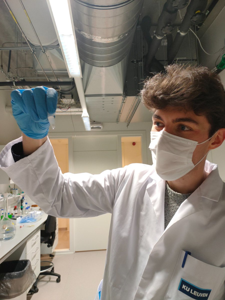 Next up <a href="/PierreCyb/">Pierre Cybulski</a> at <a href="/KU_Leuven/">KU Leuven</a> 

Pierre tracks the biological fate of functional colloids in 2D and 3D cell models that mimic the physiological features present in solid tumors !

Check an overview of his work⬇️