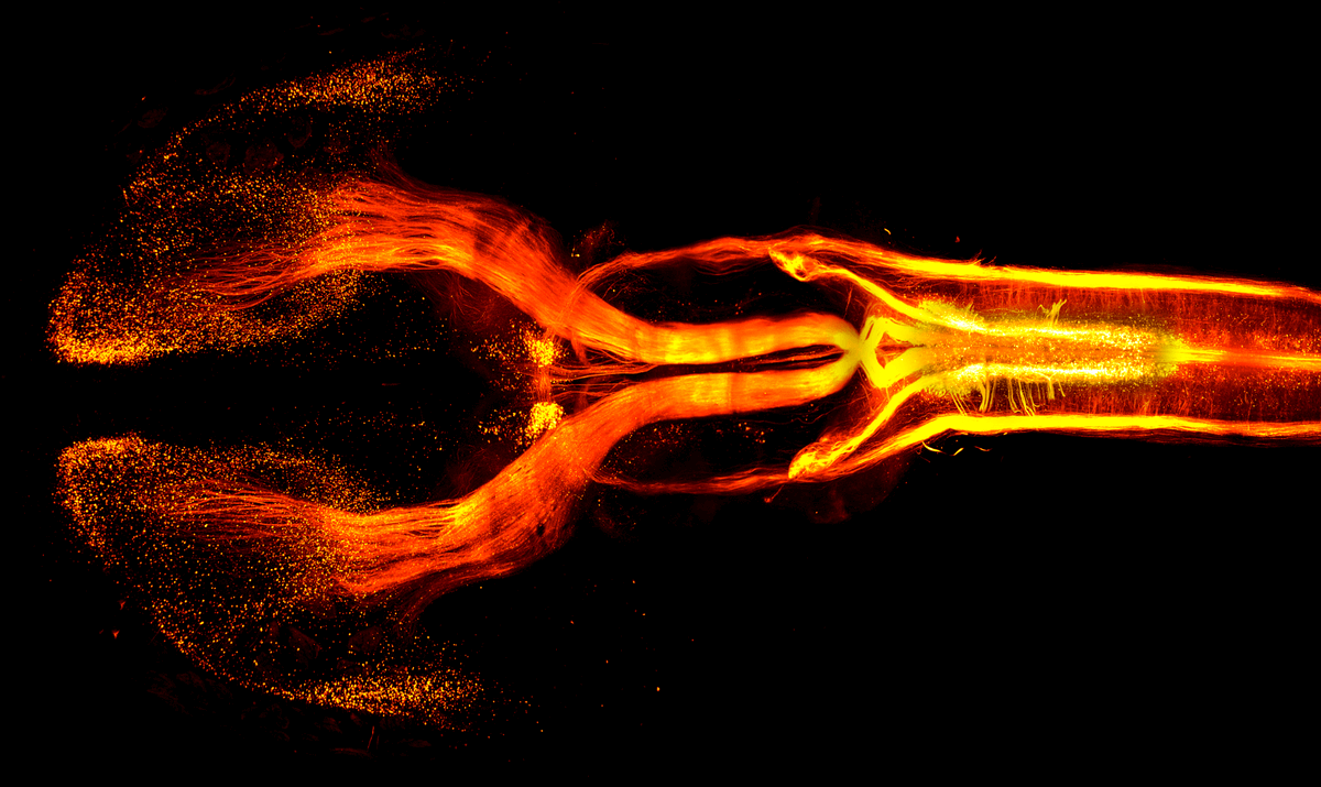 Cajal_Training's tweet photo. 1 month left to apply for our #training course on Advanced approaches to neuro evo-devo 👉 https://t.co/lSrmQ8Cozg
⏰ Deadline 28 March
📆 5-23 Sept 2022
🌏 @bdxneuroschool
👥 @denisjabaudon @BaulacS Claude Desplan &amp; @PacaryE 
#neurodevelopment #evolution #nervoussystem #disease https://t.co/BVV80s6CGo