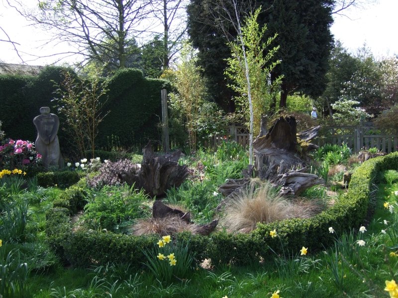 Sunday 6th March Millenium Garden London Road Lichfield WS14 9RB is open 1-5. ngs.org.uk/view-garden/19… 2 acre garden with mixed spring bulbs in the woodland garden and golden daffodils. Adm £3.50 child free pay at the gate.