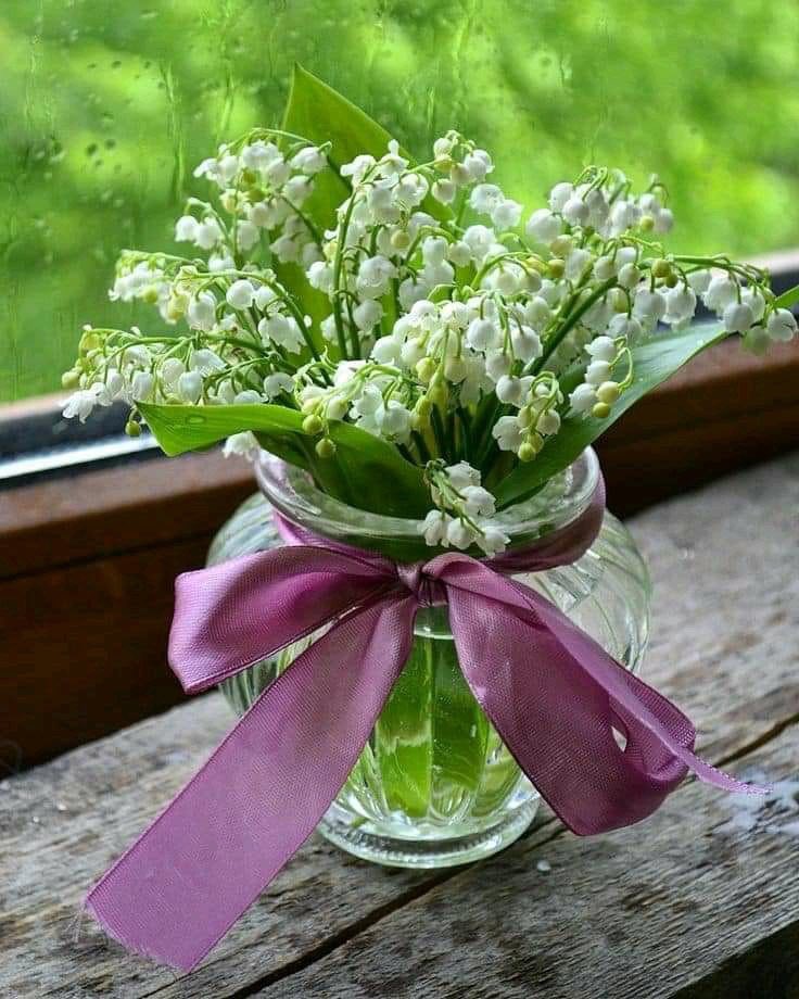 عمرعبدالرحمن (@c12345xd) on Twitter photo 