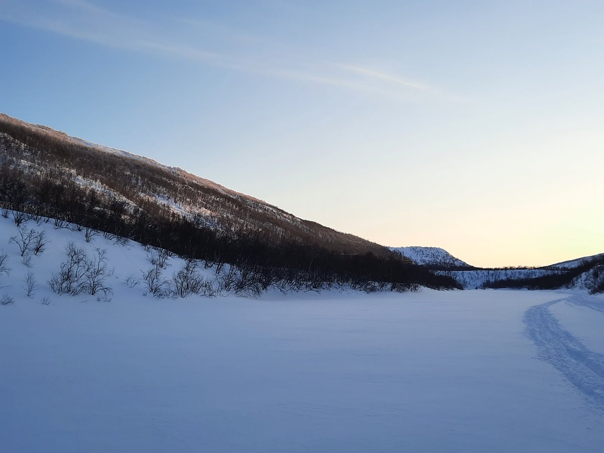 JaakkoErkinaro's tweet photo. Some peaceful scenes for a change, despite all the darkness around us.
Visible hints towards spring, but #salmonid eggs are still incubating under thick snow and ice in tributaries of the #Teno/#Tana River @ 70°N ❄🐟
An #otter is also after a meal 🦦
@LukeFinlandInt @LukeFinland https://t.co/eWZxdxu2fE