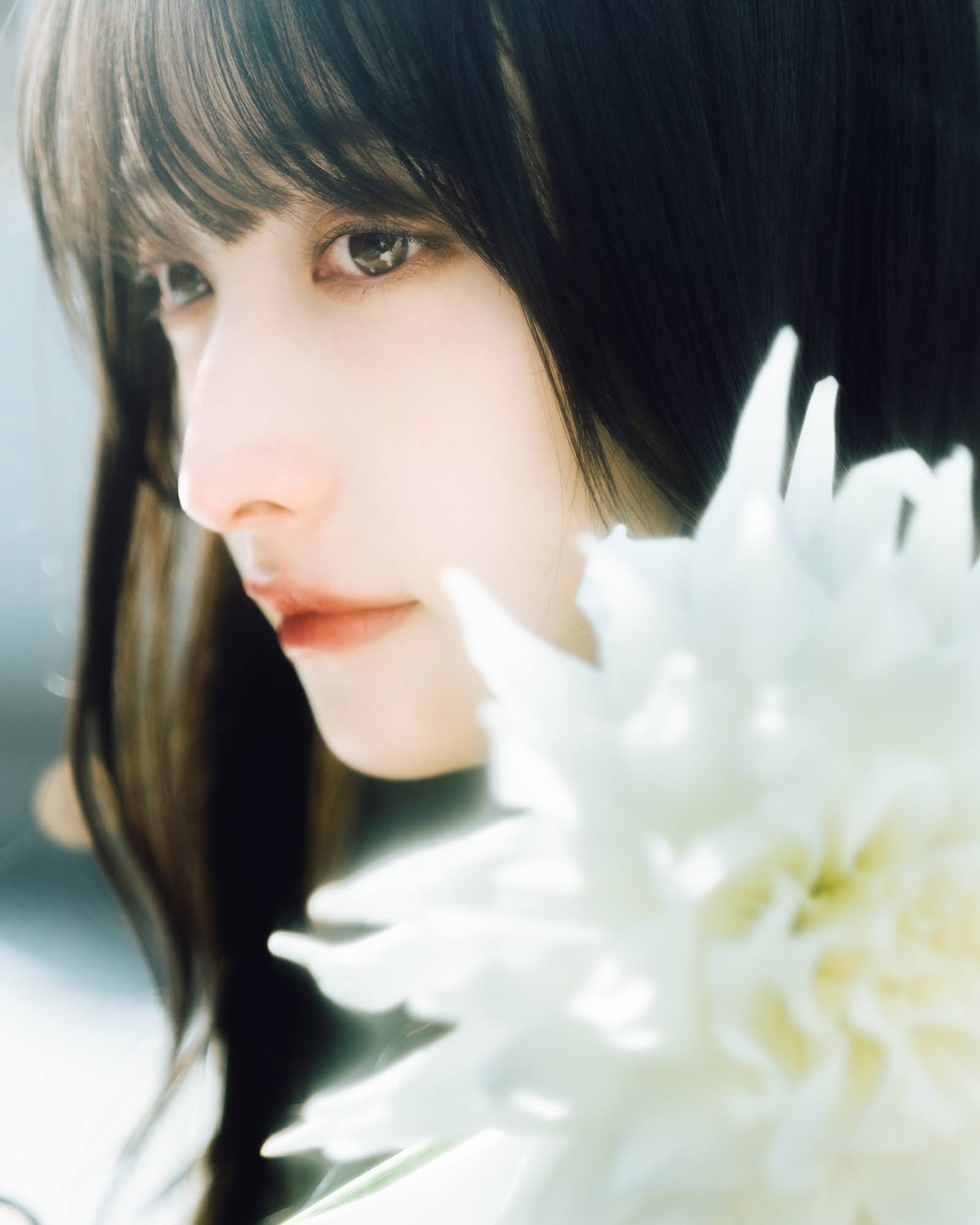 Hinano ダリアの花言葉は 優雅や気品 T Co Zj0mk2m8vt Twitter