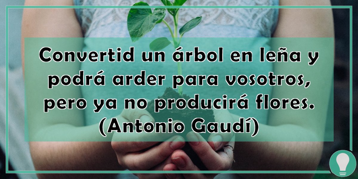 ♻ No te olvides de visitar nuetra tienda zero waste residuozeroconz.com
#residuocero #residuoceroencasa #residuoceroespaña #residuoceromadrid #zerowaste #zerowasteespaña #basuracero #basuraceroespaña #tiendaresiduocero