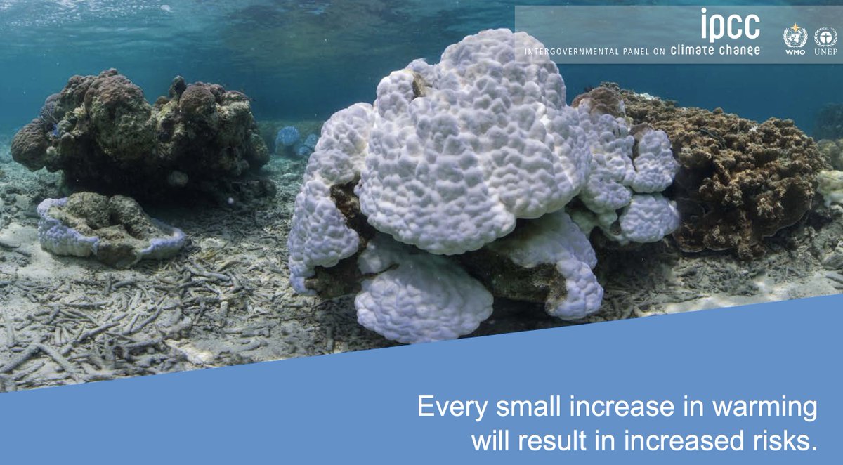 The new IPCC climate report is clear:
Every small increase in warming will result in increased risks. For people, for society and for the natural world.
ipcc.ch/report/ar6/wg2/