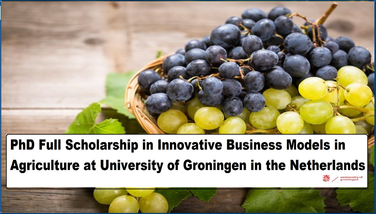 📌 4 Year PhD Full Scholarship in Innovative Business Models in Agriculture at University of Groningen in the Netherlands🇳🇱 .. Please retweet and spread the word! For details visit the link below👉 wp.me/pbv48T-2d3