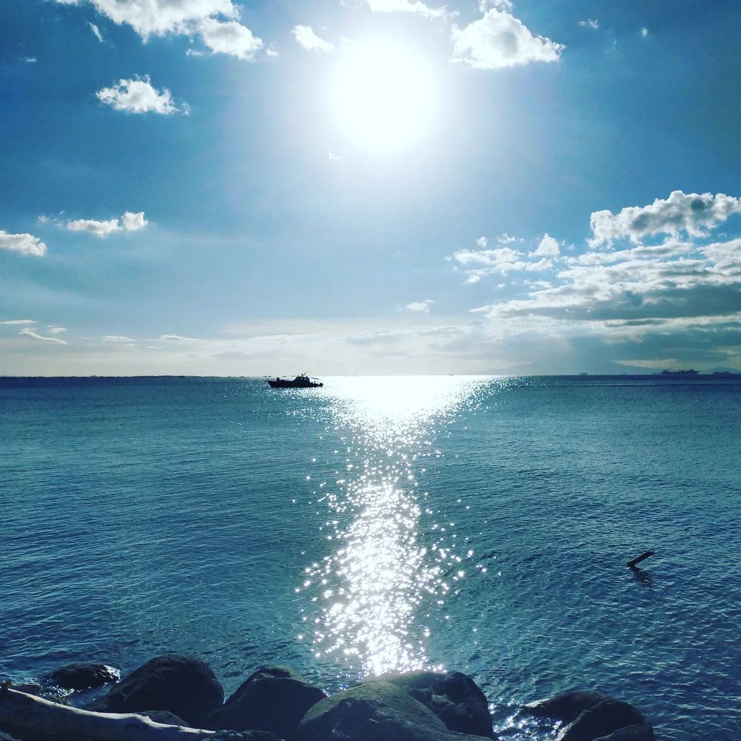 itsAJwonderToT's tweet photo. - Sunset's are proof that endings can often be beautiful too."

#sunset #sunsetphotography #SunsetLovers
#sunsetbythebay  #mallofasia https://t.co/XCTwdnfwrm