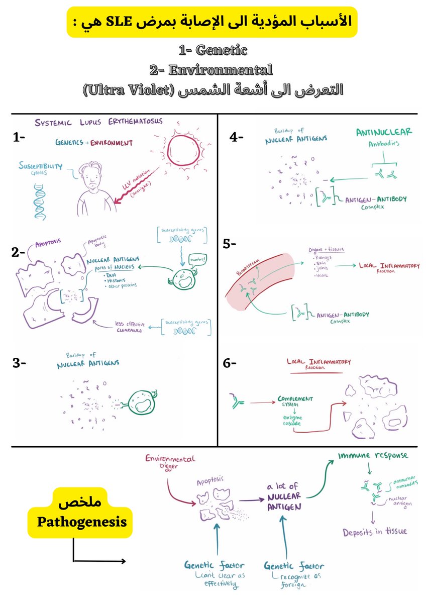 Asma | أسماء tweet media