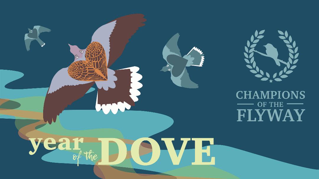 flywaychampions's tweet photo. The wonderful @WomenInSteppe are out of the blocks and fundraising NOW to help save Turtle Doves on their back through the killing fields of the Mediterranean... You can check on their progress, and make a donation, on their team JG page here: https://t.co/0OKCYCL0Ov https://t.co/xjst0f0u2P
