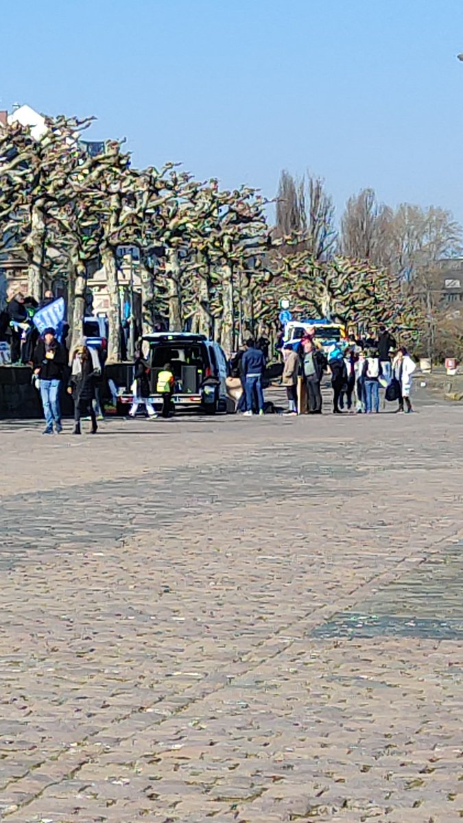 schoppedieb's tweet image. Die ersten Schwurbler sammeln sich am Kaisertor für ihre Demo
#Mz2802
