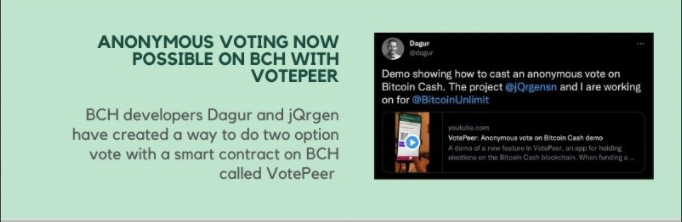 votepeer tweet media