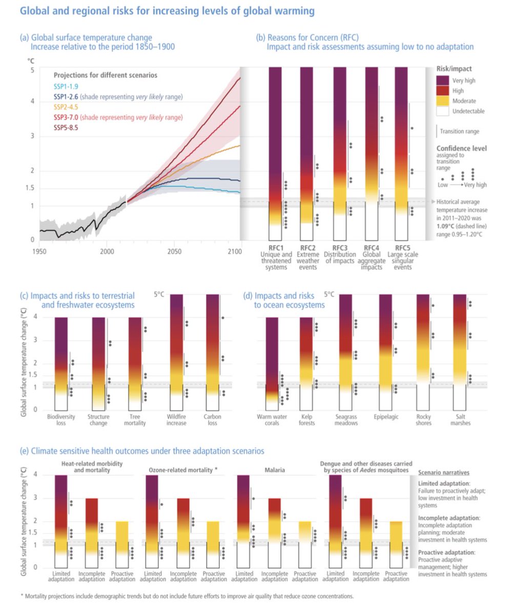pierrecannet's tweet photo. Climat : plus de 1000 pages du GIEC en un coup d’œil. État des forêts et coraux, montée de la mer, mortalité liée à la qualité de l’air ou la dingue, pêcheries et récoltes, eau et infrastructures. La Planète bleue est en train de sombrer dans le rouge. Il faut réagir très vite ! https://t.co/Izw4R7VRzx