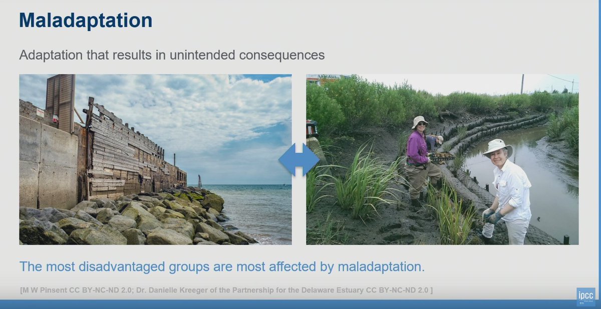 In addition to #ClimateChange adaptation, we need to evade maladaption of which an example is given at the #IPCC Report Press conference.  #IPCCraportti