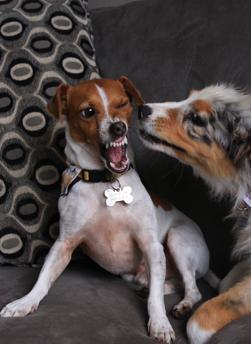 This Twitter glitch is getting a bit old…