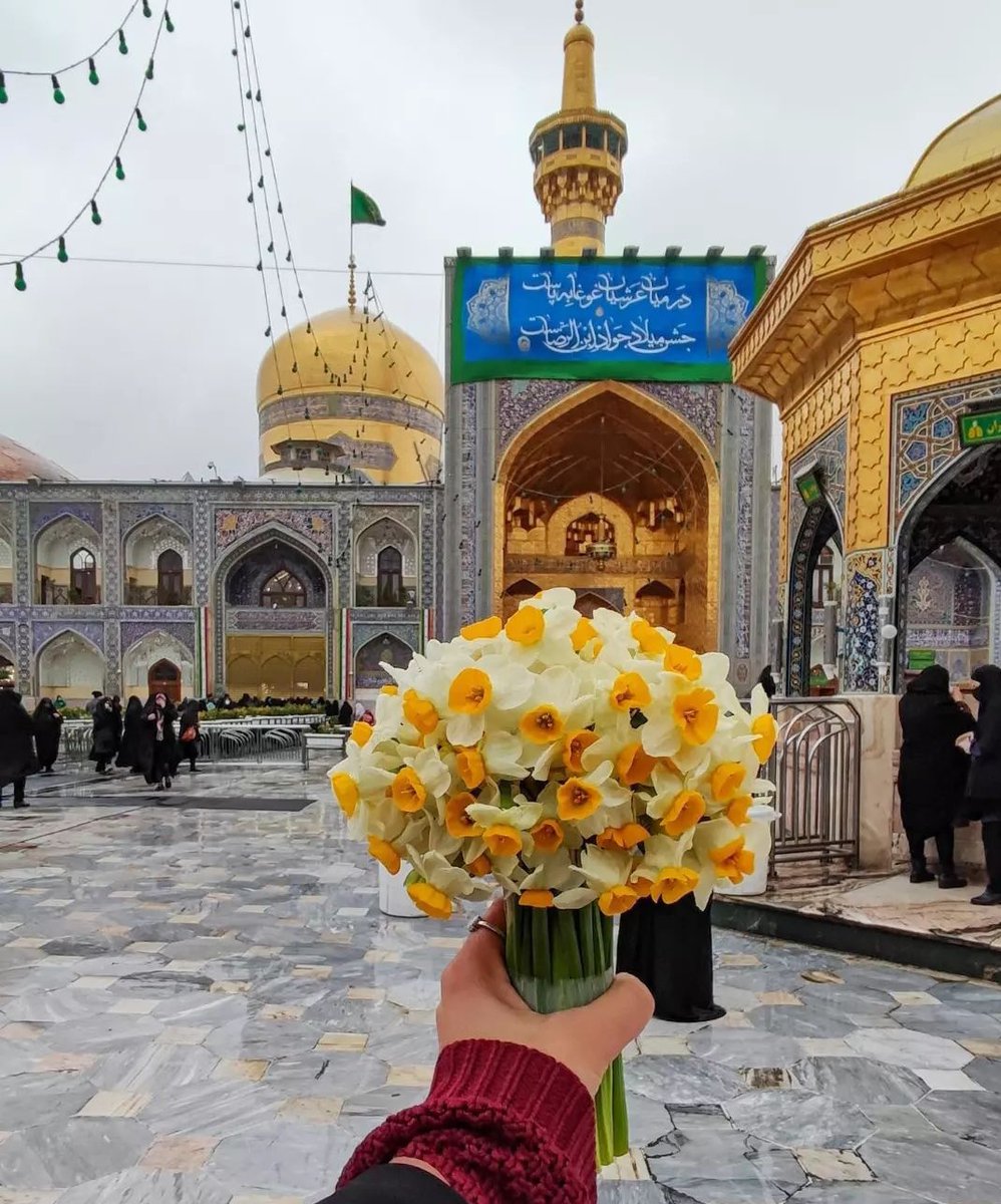 خواہش زیارت تیرے در کی دل میں لئے بیٹھے رہتے ہیں ، یا رضا ع جان 🥺♥️