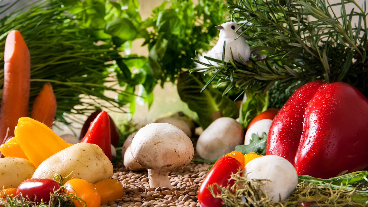 GlobalFood_Camb's tweet photo. 'Archaeobotany and plant archaeogenetics: problems, prospects and potential for global food security.' 

🥑🍅🍎

Join us on 4 March at 2 pm GMT, to hear Dr Daniel Fuks (Archealogy) discuss this pertinent topic: https://t.co/uNr8gPpGH2 https://t.co/3K2gA6Gid1