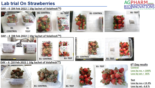 AgpharmB's tweet photo. #strawberry Lovers, #farmers #exports -relish fresh juicy fruitform #strawberries for #extendedreality time period. "VOLAFRESH(TM)" successfully #extended #shelflife by 6days by ambient surroundings &amp;" Not Touching Fruit at all".enjoy fruits with no coating/chemicals..check here https://t.co/RRQE4fQqnY