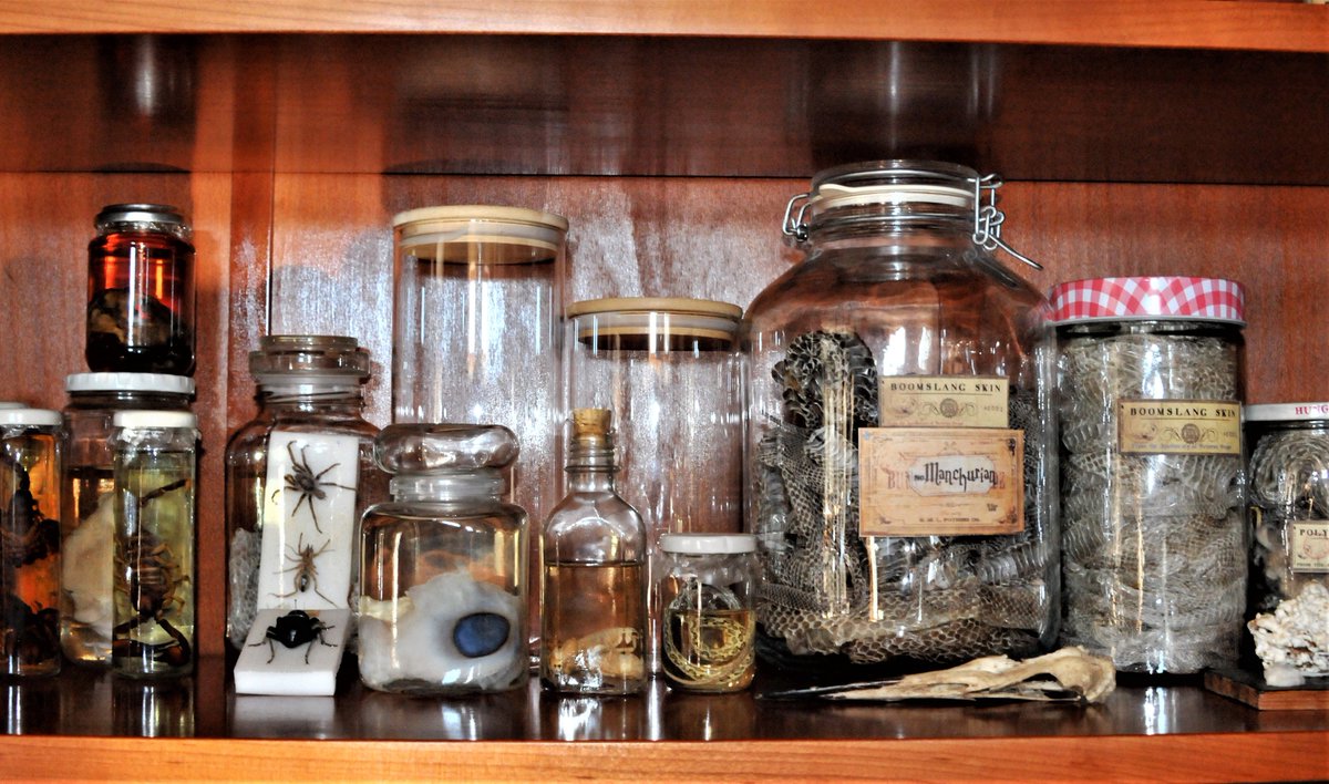 Snape PM😾🐍 tweet media