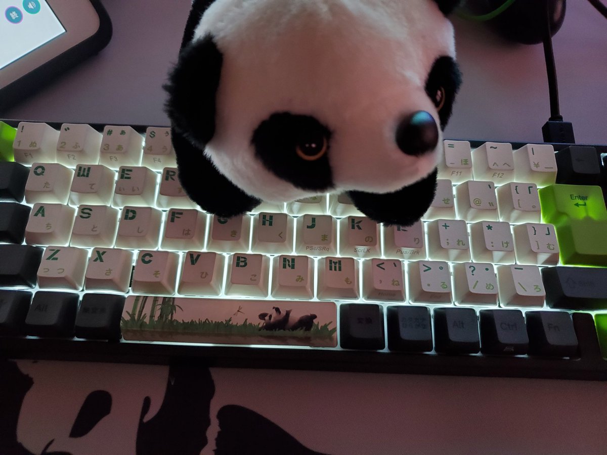 pineapple0324's tweet photo. 新しいキーボード買いました〜
パンダキーボードまじで可愛すぎ🐼⌨️✨
人形も着いてきたしまじで可愛い笑 https://t.co/v0Orid5gUb