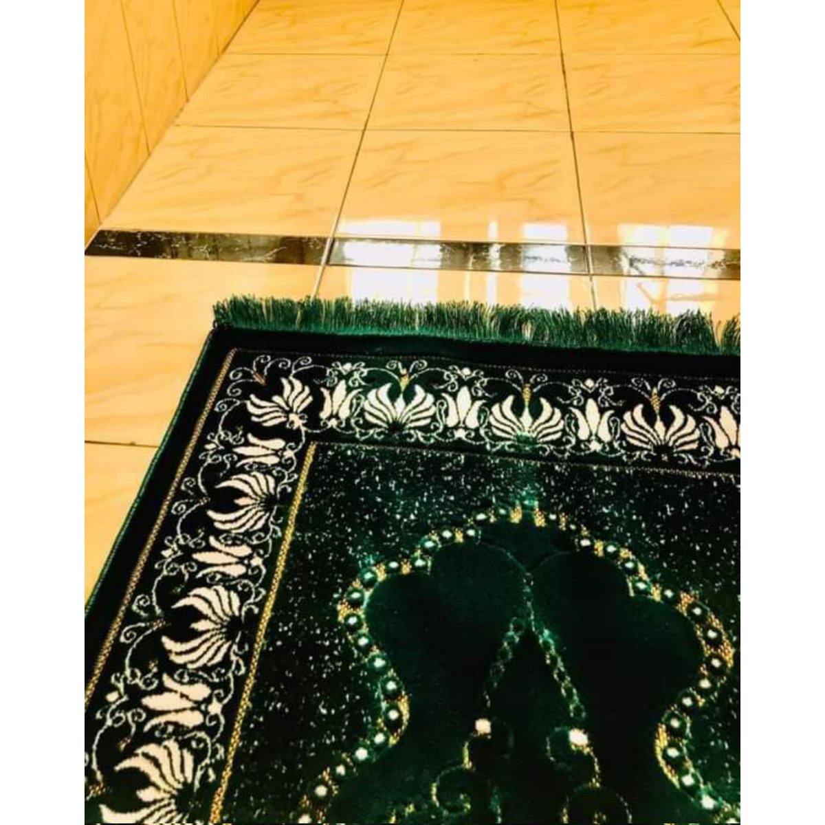 AsmaAlom680's tweet photo. Ya Allah,guide us right direction to follow 🤲❤️ https://t.co/JJ33JP9f8S