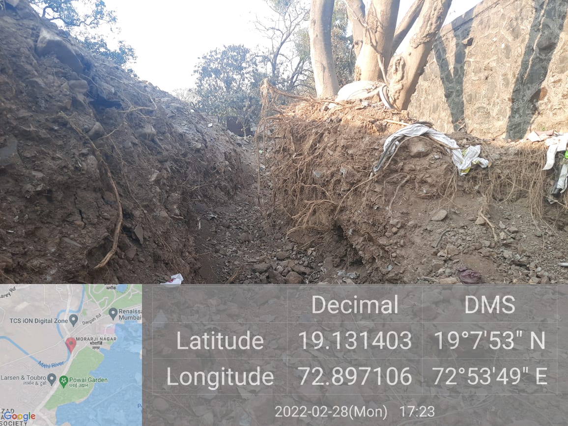 TabrezAliSayed2's tweet photo. This is Flood Land of Mithit River, Powai. They are destroying the flood land and the trees around it. You can see the images of this tree, they have destroyed the roots of the tress due to which there are no leaves. @MahaForest @MumbaiPolice @mybmcWardS whom to complaint? https://t.co/iZGoDCMLrS