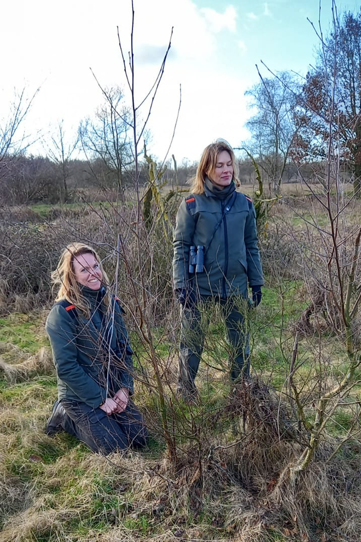Boswachter Marieke Schatteleijn en collega Colinda Vergeer op zoek naar wisenten in de Maashorst, een van de grootste aaneengesloten natuurgebieden van Noord-Brabant. Je ziet het in #BinnensteBuiten, vanavond om 19.10 op <a href="/NPO2/">NPO 2</a>!