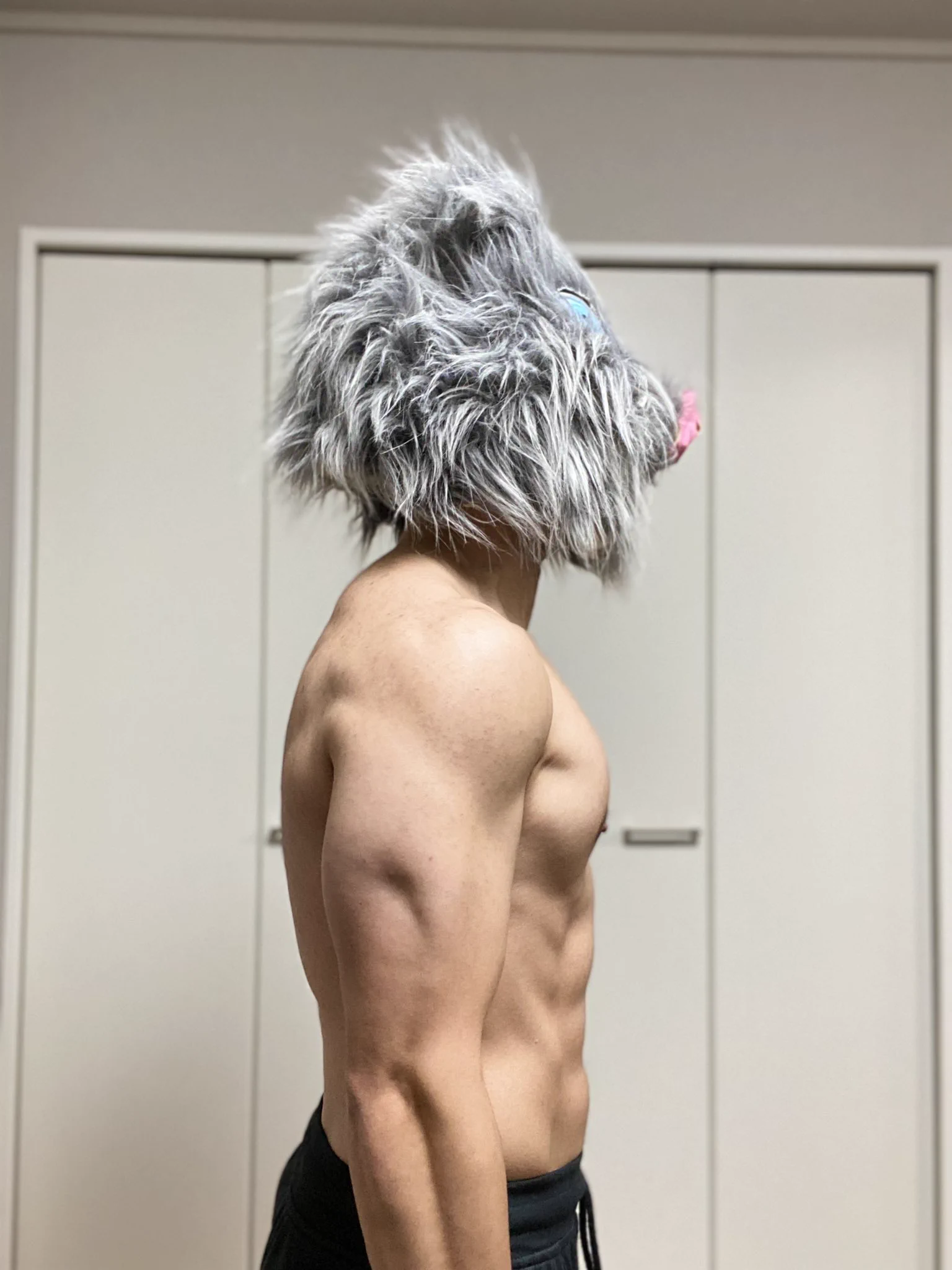 毎日腹筋ローラーを365日やった結果？体が劇的に変化するwww
