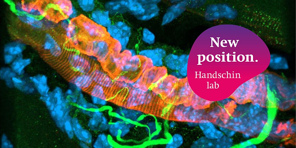 Biozentrum, University of Basel (@biozentrum) on Twitter photo Job advertisement
Group Christoph Handschin
Postdoctoral position (100%, funded) in skeletal muscle plasticity
ow.ly/Zhmn50I5EQ9
<a href="/biozentrum/">Biozentrum, University of Basel</a> <a href="/UniBasel_en/">University of Basel</a>
#Biozentrum #Basel #research #science #joboffer #postdoc Job advertisement
Group Christoph Handschin
Postdoctoral position (100%, funded) in skeletal muscle plasticity
ow.ly/Zhmn50I5EQ9
<a href="/biozentrum/">Biozentrum, University of Basel</a> <a href="/UniBasel_en/">University of Basel</a>
#Biozentrum #Basel #research #science #joboffer #postdoc