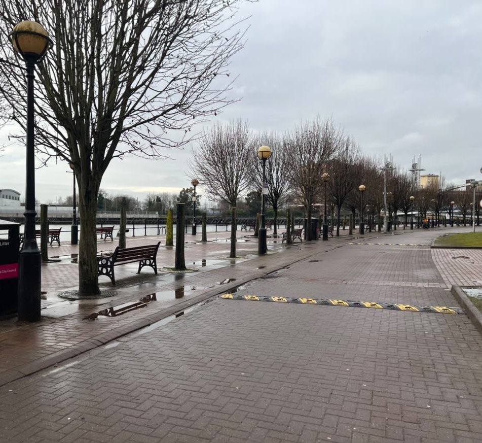 Whoever is responsible for the butchering of all those beautiful trees along Salford Quays needs to seriously have a word with themselves! WHY on earth anyone would think this is a good idea is beyond me… and planting other trees elsewhere doesn’t make it acceptable either ☝🏻🤦🏻‍♂️