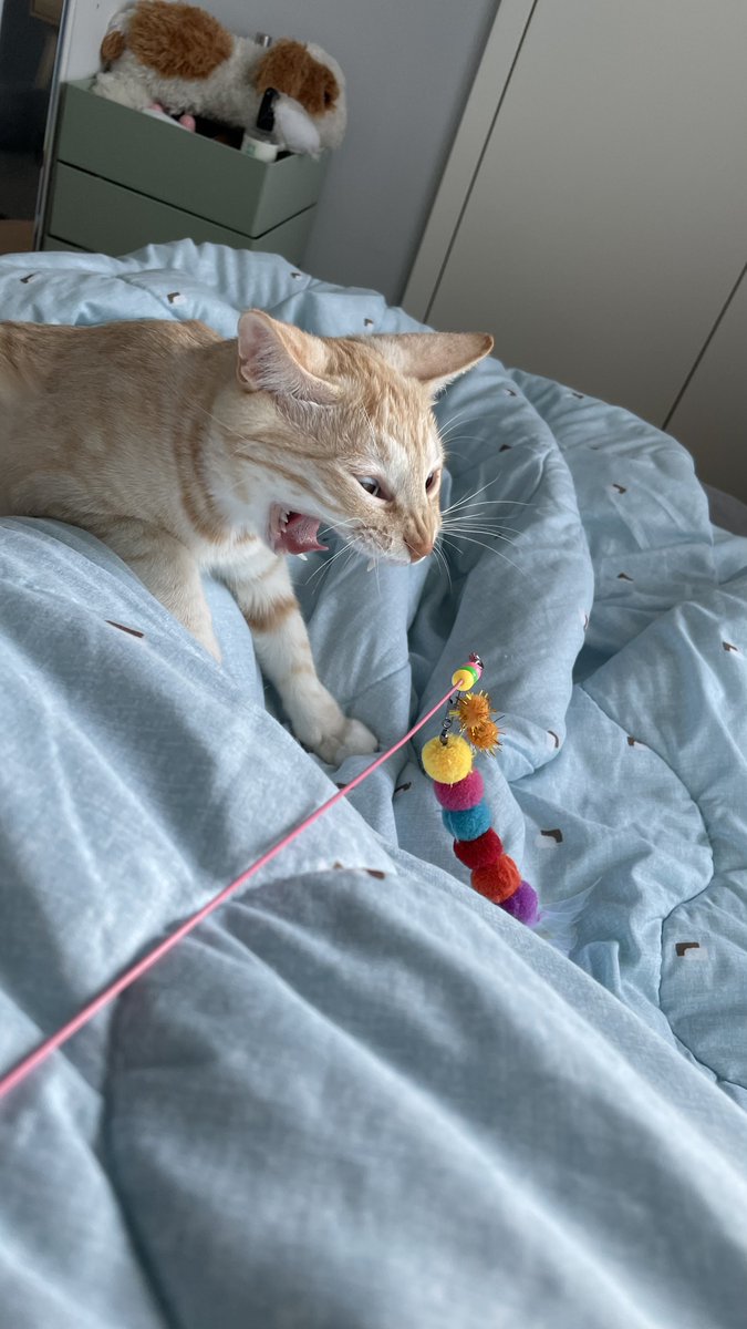 이런사진 그만좋아해야되는데