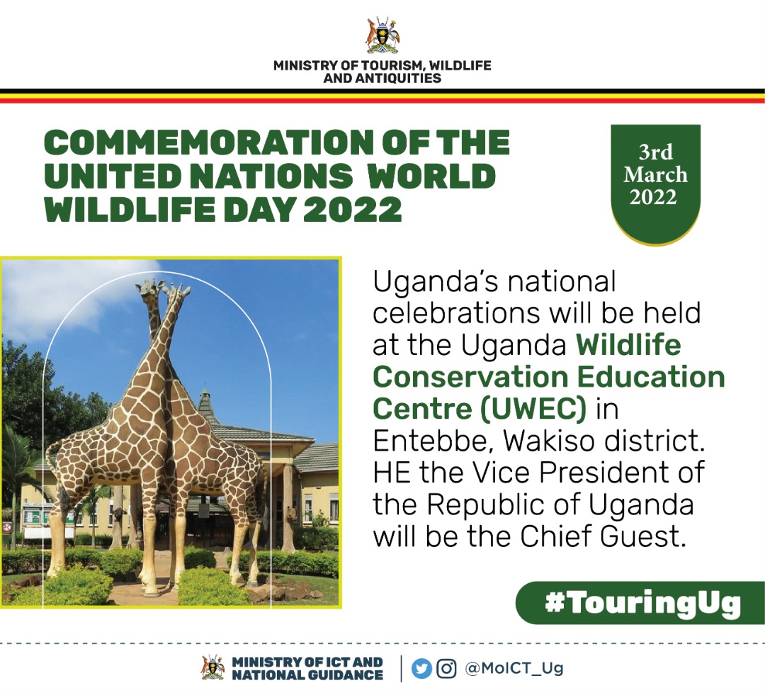 The global World Wildlife Day celebration will be held on 3rd March 2022, at the Uganda Wildlife Conservation Education Center in Entebbe, Wakiso district endeavors to celebrate the day @ugwildlife @GovUganda #TouringUg #VisitUganda 
 #WWD2022 #RecoverKeySpecies #worldwildlifeday