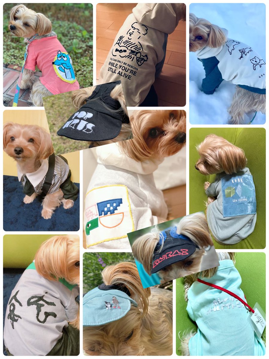 犬服  ラグランフード(Ｓ)   ꒡̈⃝Lily꒡̈⃝ハンドメイド 犬服 ラグランフード(S) ꒡̈⃝Lily꒡̈⃝ハンドメイド