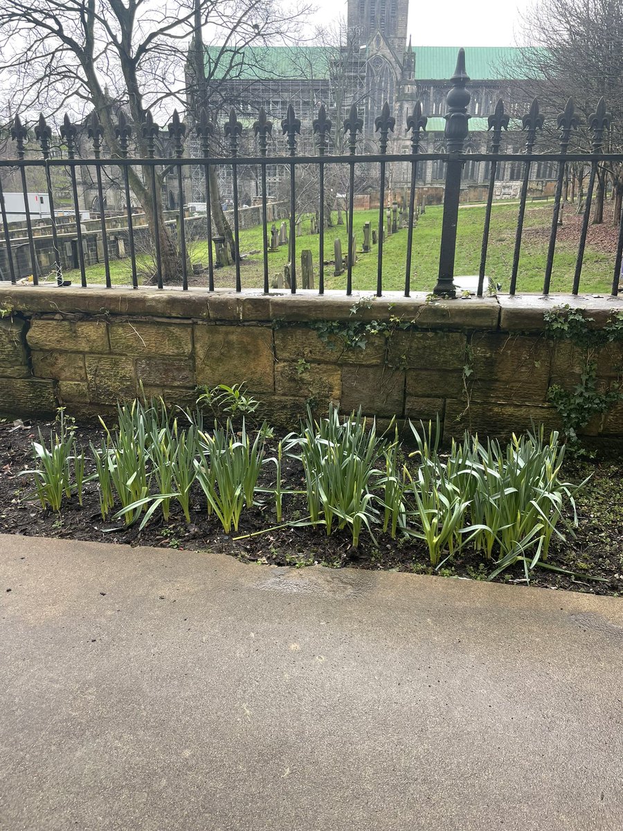 #scottisharchivesday Have you heard about our 🐝 hives. We have 2  at the moment &amp; hope to add 2 more 😍 inc one from the head chef at Celentanos 😍You can sponsor a bee - will be possible to do via our website soon #watchthisspace

📸 🐝 hives, keepers &amp; gardens. Looking good😍