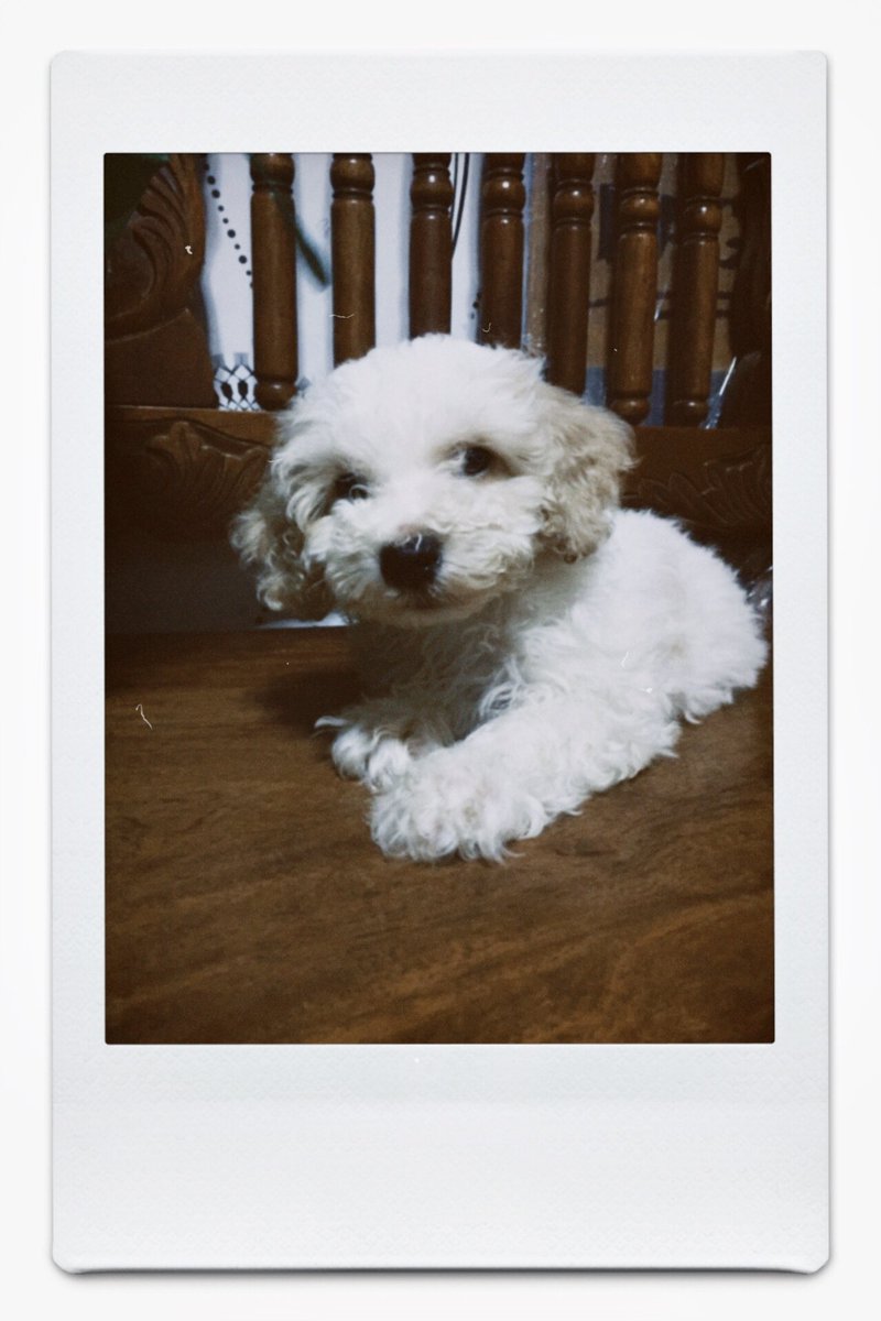 leyyyg_'s tweet photo. My 2nd baby. 🧡 https://t.co/NzFCJSDdiH