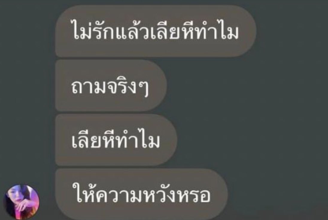 ไลอ้อนที่แปลว่าแมว tweet media