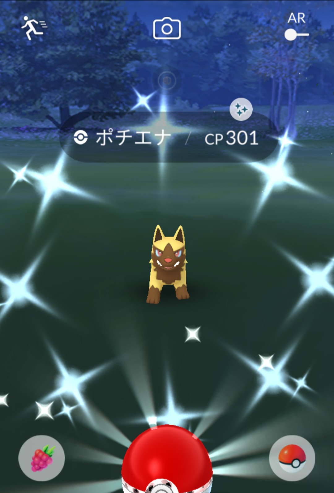 ポチエナ色違い Twitter Search Twitter